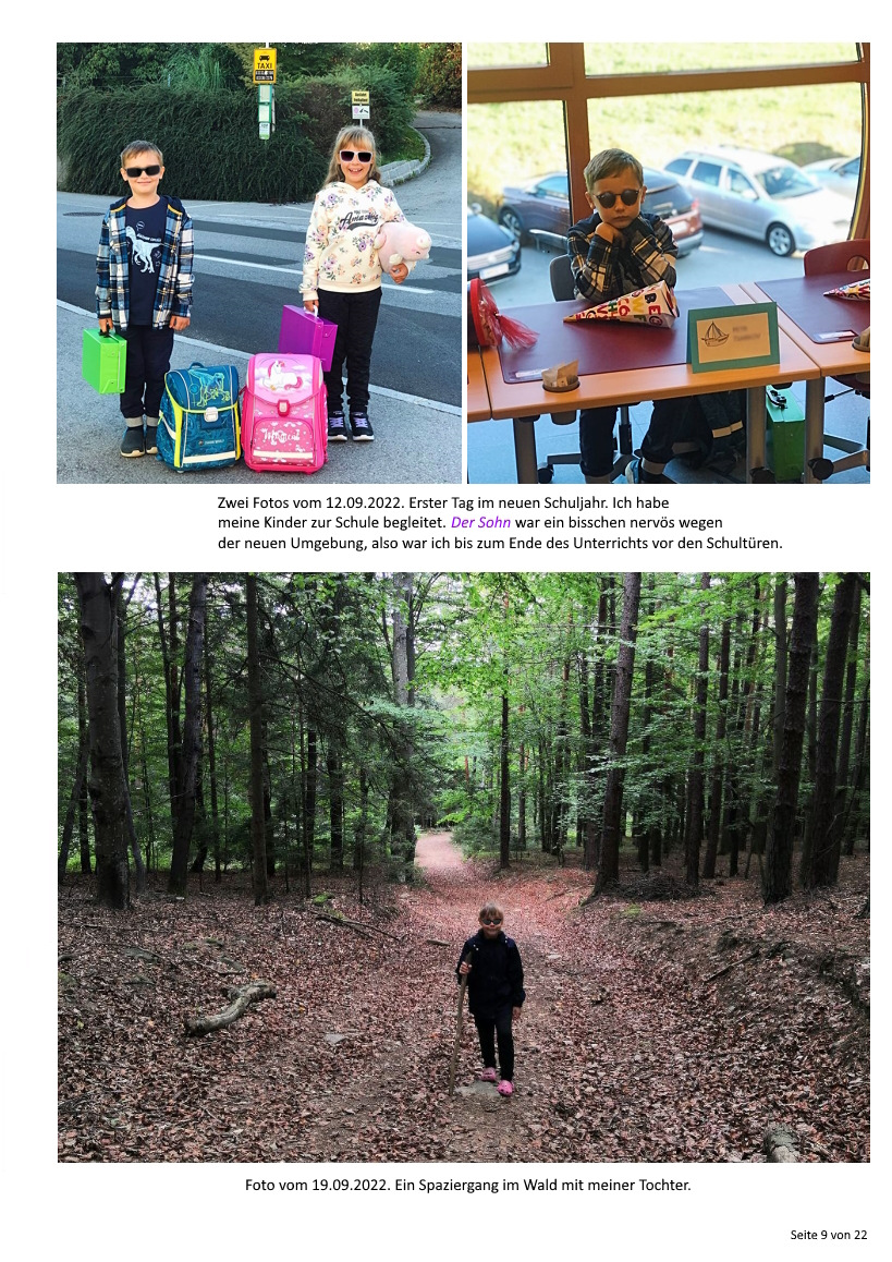 Описание изображения